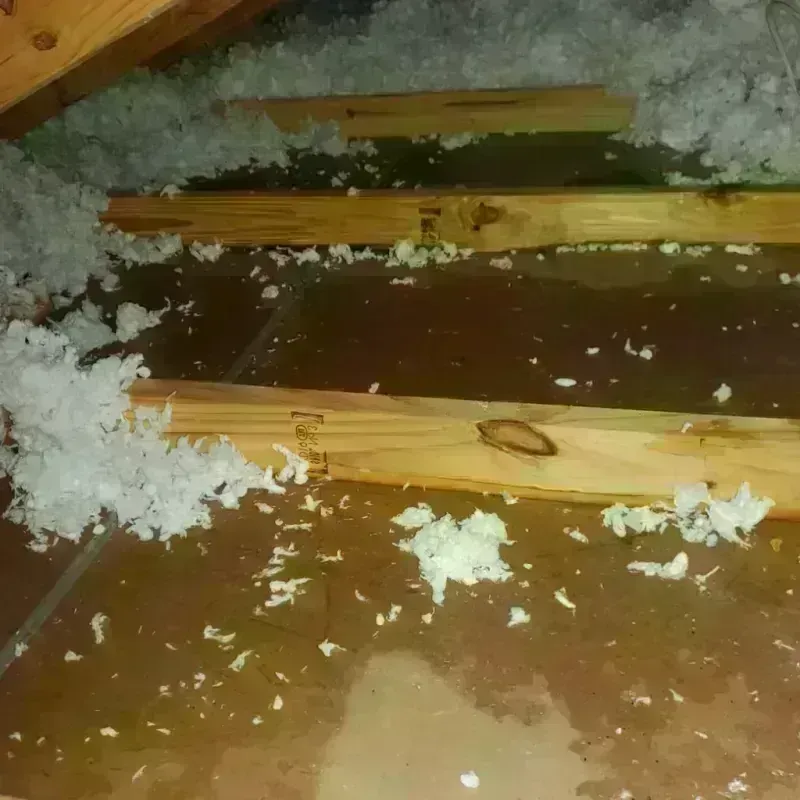 Attic Water Damage in Woodlake, VA