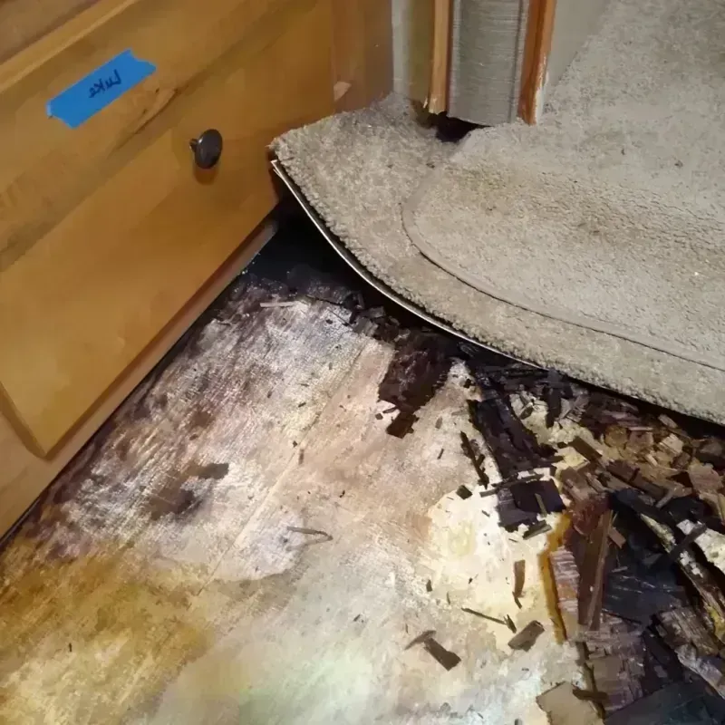 Wood Floor Water Damage in Woodlake, VA